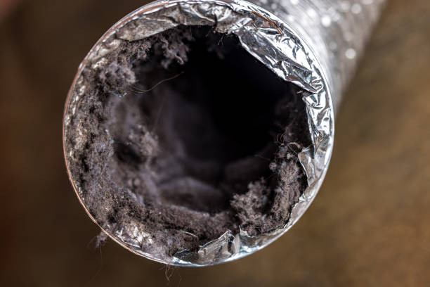 Best Residential Air Duct Cleaning  in Jefferson Valley Yorktown, NY